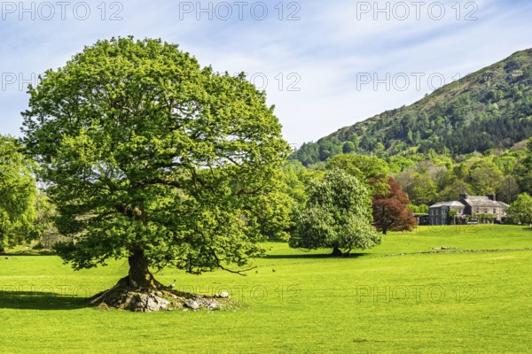 Fell Foot Park, Windermere Lake, Lake District, Cumbria, England, United Kingdom