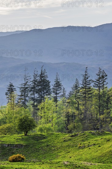 Mountains in Lake District National Park over Coniston Water, Cumbria, England, United Kingdom