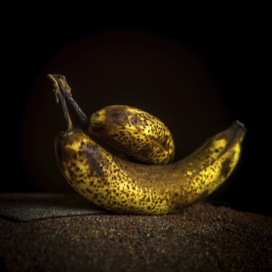 Two ripe bananas, one larger and one smaller, showcase their dark speckled skins. Positioned on a textured surface, they contrast beautifully against the deep black background