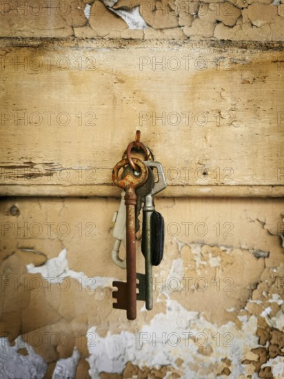 A collection of rusty keys hangs from a metal ring against a weathered wooden backdrop. The peeling paint adds character, showing the age of the surface