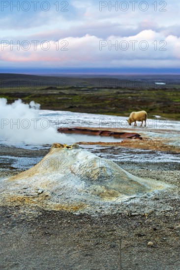 Fumarole, Solfatare Öskjuholt, steaming sinter cone, lime sinter, sulphur vapour, Hveravellir geothermal area, Icelandic highlands, Kjalvegur, Kjölur, Suðurland, Sudurland, Iceland