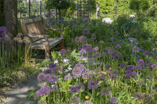 District educational garden, Burgsteinfurt, Münsterland, North Rhine-Westphalia, Germany