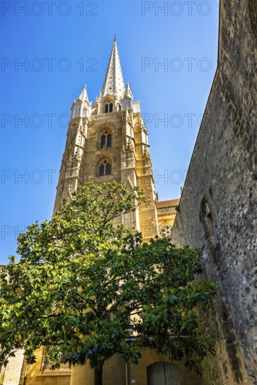 Cathedrale Sainte-Marie in Bayonne, Basque Country, Southwest France