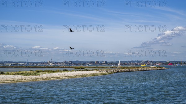 Boats over Brownsea Island, Poole, Dorset, England, United Kingdom