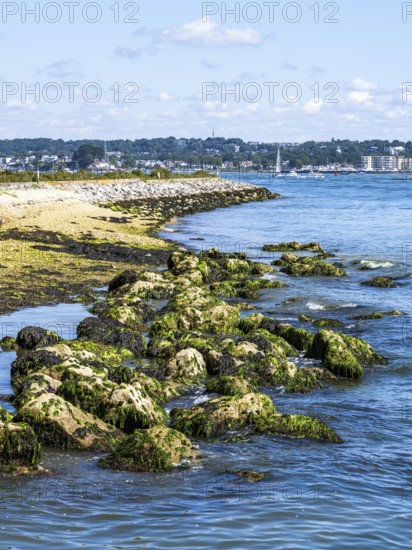 Boats over Brownsea Island, Poole, Dorset, England, United Kingdom