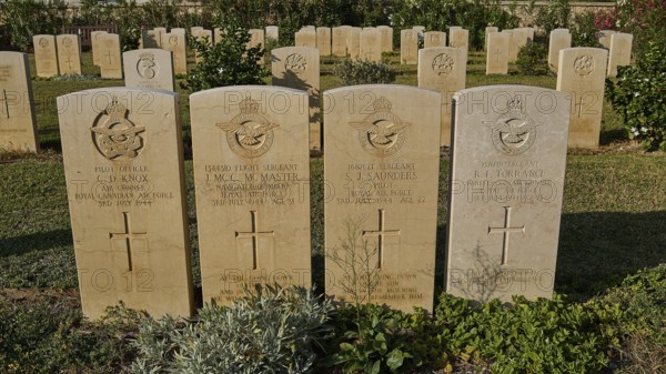 Gravestones in a war cemetery with inscriptions surrounded by flowers and plants in the sunlight, pilot and crew members of the Royal Air Force, military cemetery, Commonwealth War Cemetery, military cemetery, WW2, 1939-1945, 179 graves, Alinda, Leros, Dodecanese, Greek Islands, Greece
