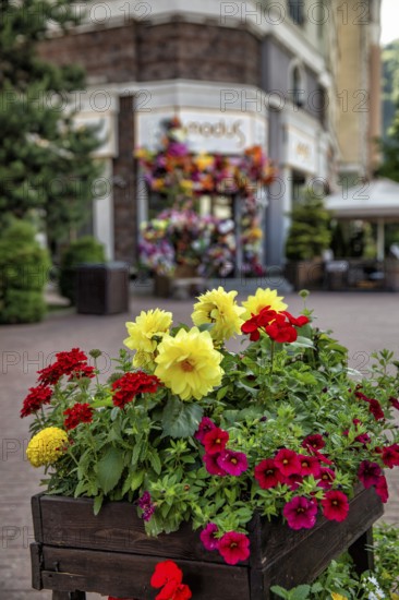 Rosa Khutor. Big Sochi. Russia