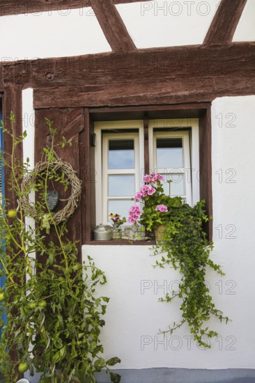Kässtadel, KäStadel, on the lake, specialist cheese shop with bistro, cheese shop, delicatessen, café, regional cuisine, small restaurant, garden, idyll, still life, window with flowers, geraniums (pelargoniums), time out, stop off, Oberuhldingen district, Uhldingen-Mühlhofen municipality, Lake Constance district, Baden-Württemberg, Germany