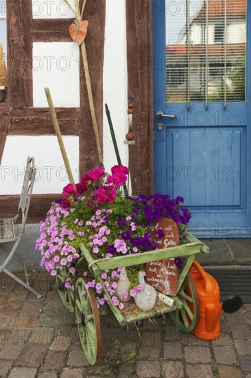 Kässtadel, KäStadel, on the lake, cheese shop with bistro, cheese shop, delicatessen, café, regional cuisine, small restaurant, garden, idyll, still life, geraniums (pelargoniums), trolley, watering can, blue door, half-timbered, time out, stop for a bite to eat, Oberuhldingen district, Uhldingen-Mühlhofen municipality, Lake Constance district, Baden-Württemberg, Germany