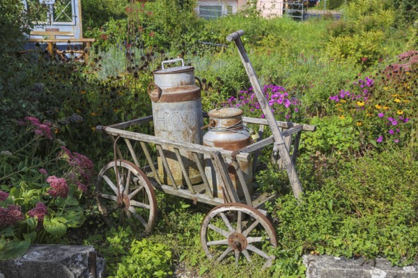 Kässtadel, KäStadel, on the lake, specialist cheese shop with bistro, cheese shop, delicatessen, café, regional cuisine, small restaurant, garden, idyll, still life with milk churns, trolley, flowers, plants, time out, stop off, Oberuhldingen district, Uhldingen-Mühlhofen municipality, Lake Constance district, Baden-Württemberg, Germany