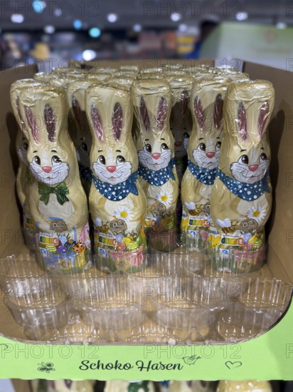 Cardboard chocolate bunnies in retail, empty spaces in the front in a plastic batch of sweets, Germany