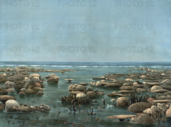 Woody Island, small island about 25 kilometers northeast of Port Douglas on the Coral Sea coast in northern Queensland, in Trinity Bay, Australia, authentic reproduction of a school mural, historic, around 1900