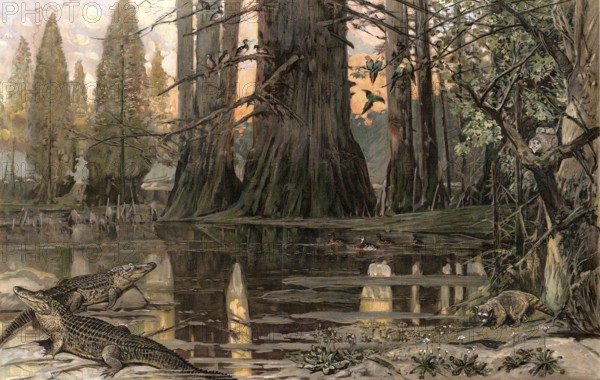 Landscape with crocodiles on the Mississippi River, America, authentic reproduction of a school mural, historic, around 1900