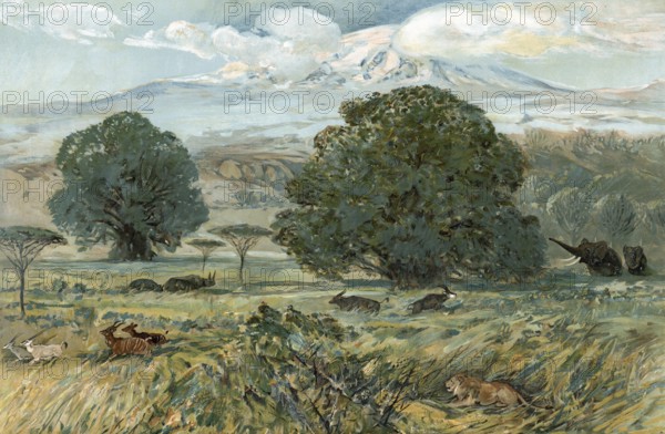 Landscape at the foot of Mount Kilimanjaro, Tanzania, authentic reproduction of a school mural, historic, around 1900