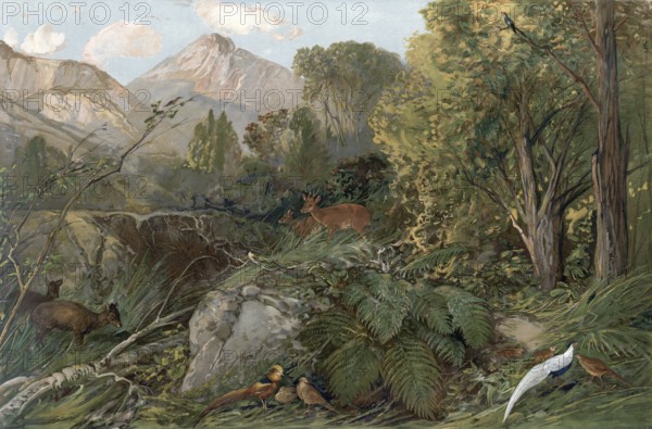 Subtropical forest area in southeast China, authentic reproduction of a school mural, historic, around 1900