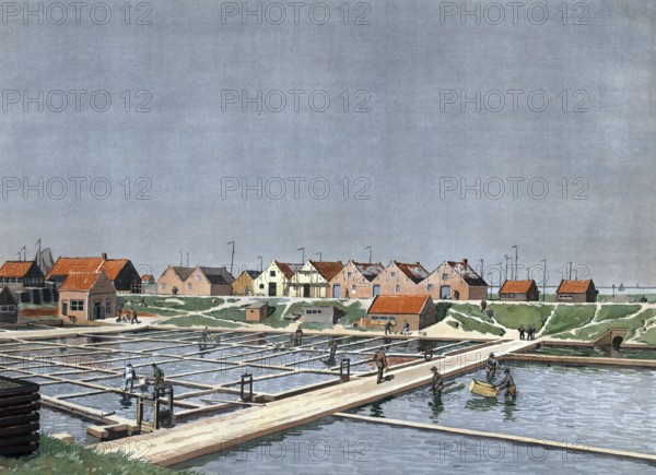 Oyster farm, oyster farm in Yerseke, province of Zeeland, Holland, Netherlands, authentic reproduction of a school mural, historic, around 1900