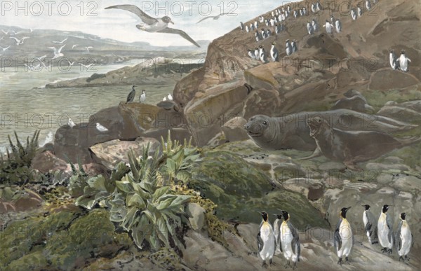 Landscape on the Kerguelen Archipelago, sub-Antarctic archipelago in the southern Indian Ocean, part of the French Southern and Antarctic Territories, authentic reproduction of a school mural, historic, around 1900