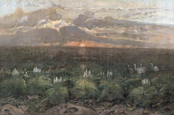 Landscape in the Pampas, flat, woody grassland in southeastern South America, Argentina, authentic reproduction of a school mural, historic, around 1900
