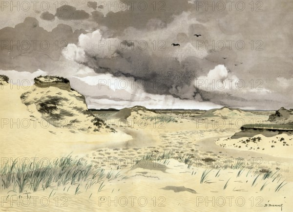 Sand dunes in Veluwe on a mountain range in the province of Gelderland directly southeast of the Veluwemeer, Holland, Netherlands, authentic reproduction of a school mural, historic, around 1900