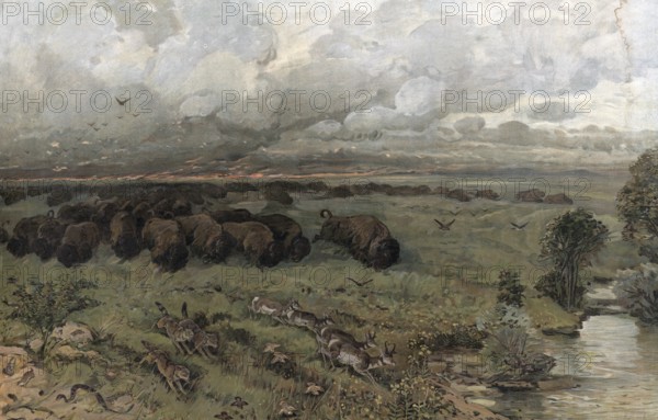 Prairie fire in Montana, buffalo herd fleeing the fire, America, authentic reproduction of a school mural, historic, around 1900