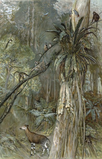 Prehistoric jungle on the coast of Guinea, West Africa, authentic reproduction of a school mural, historic, around 1900