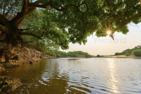Sun rays break through the trees on the riverbank, picturesque landscape with calm water in the morning light, Rio Negro, Fazenda Barranco Alto, Pantanal, UNESCO Biosphere Reserve, World Heritage Site, Mato Grosso, Brazil