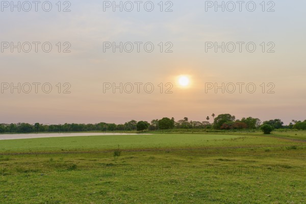 Tranquil landscape at sunrise with a lake, green trees and a clear sky, Fazenda Barranco Alto, Pantanal, UNESCO Biosphere Reserve, World Heritage Site, Mato Grosso, Brazil