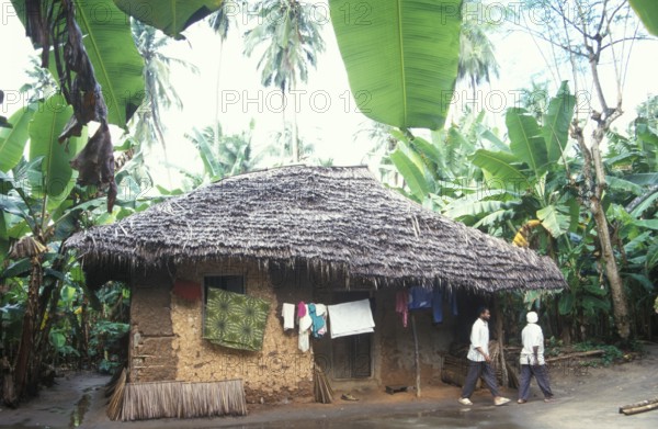 Mud hut between banana trees in the jungle, Zanzibar, Tanzania, Africa, June 2000, vintage, retro, old, historic