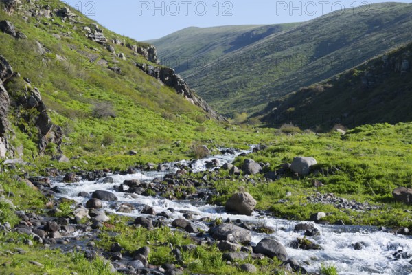Clear mountain river snakes through a green valley between stony slopes, Amberd Gorge, Aragazotn Province, Armenia