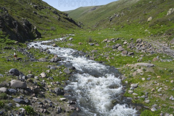 A river with rapids flows through a green landscape with large stones, Amberd Gorge, Aragazotn Province, Armenia