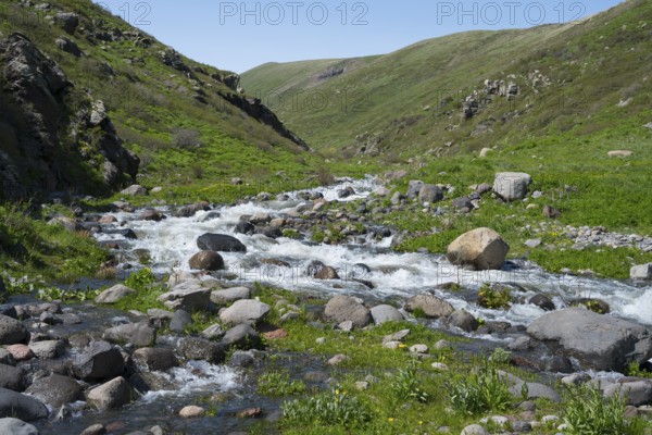 A river flows over rocks in a green hilly landscape, Amberd Gorge, Aragazotn Province, Armenia