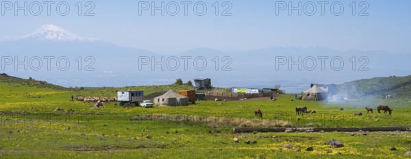 Pasture landscape with horses, tents and views of Mount Ararat in the background, nomads, tents and caravans as summer camp, on the southern slopes of Aragaz, Aragats, Aragac, Alagyaz, Aragazotn province, Armenia