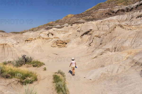 Female tourist walking on a trail in horseshoe canyon, a unique geological formation near drumheller, alberta, canada, featuring hoodoos and eroded sandstone formations on a sunny day