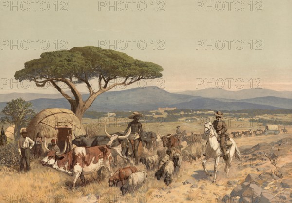 Shepherds with flock in the steppe near Windhoek, German colony, Namibia, authentic reproduction of a school mural, historical, around 1900