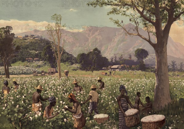 Cotton harvest in the German colony of Togo, Africa, authentic reproduction of a school mural, historical, around 1900
