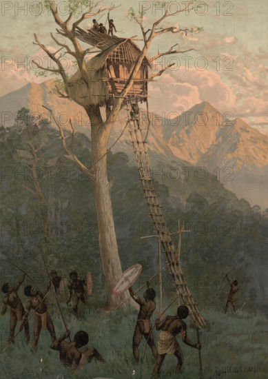 Tree house in the German colony Kaiser Wilhelmsland, New Guinea, authentic reproduction of a school mural, historic, around 1900