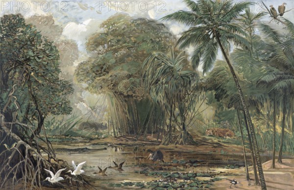 Landscape in the delta of the Ganges, India, authentic reproduction of a school mural, historical, around 1900