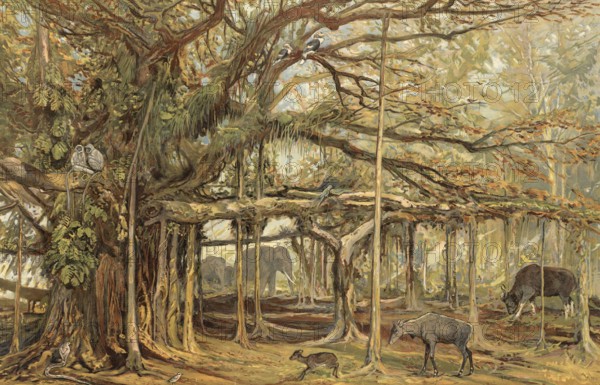 Deccan or Dekhan, landscape in South India, authentic reproduction of a school mural, historical, around 1900