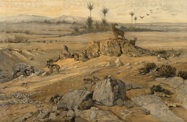 Landscape in the Sahara, Algeria, authentic reproduction of a school mural, historical, around 1900