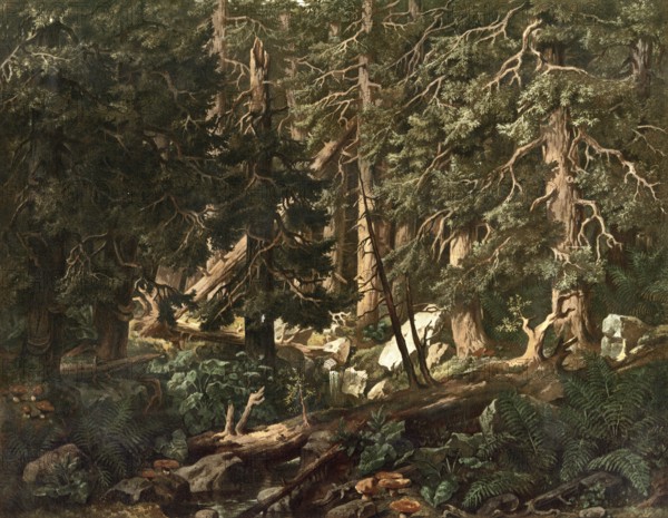 Jungle landscape in Bohemia, today Czech Republic, Czech Republic, authentic reproduction of a school mural, historical, around 1900