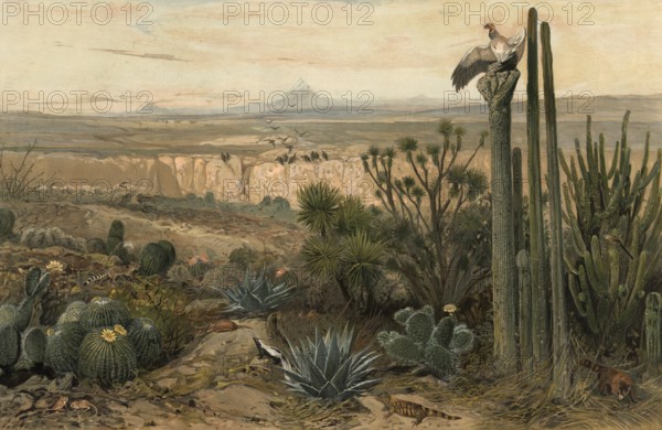 Landscape in the Highlands of Mexico, authentic reproduction of a school mural, historical, around 1900