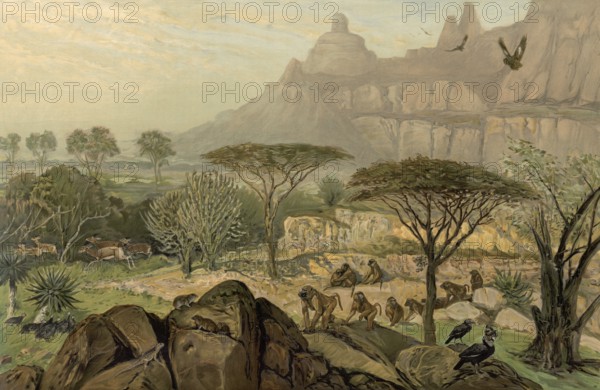 In the highlands of Abyssinia, today Simien National Park, also Semien National Park, Ethiopia, authentic reproduction of a school mural, historic, around 1900