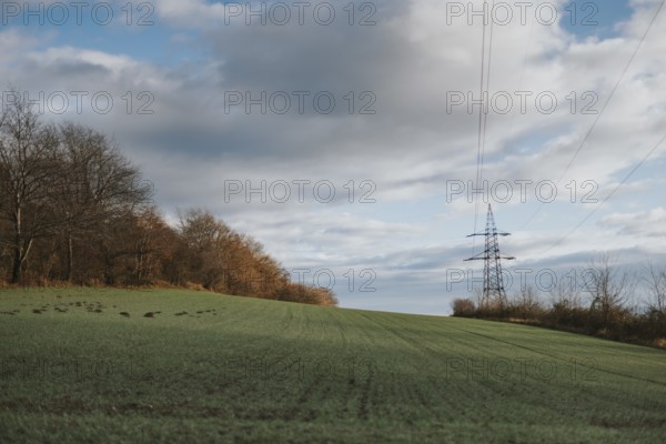 Meadow with a power pole on the horizon under a wide sky with large cloud formations, Ternitz, Lower Austria, Austria