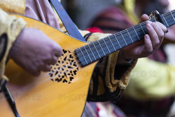 Mandolin player, musician, medieval clothing, medieval market, city of Esslingen, district of Esslingen, Baden-WÃ¼rttemberg, Germany