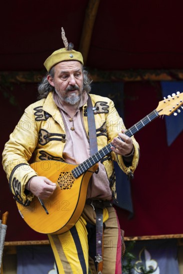 Mandolin player, musician, medieval clothing, medieval market, city of Esslingen, district of Esslingen, Baden-WÃ¼rttemberg, Germany