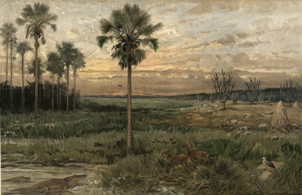 Llanos, wide plains in northern South America, which are mainly characterized by humid savannas, Colombia, authentic reproduction of a school mural, historic, around 1900