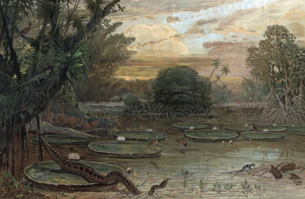 Landscape in Urwlad of Guiana, South America, authentic reproduction of a school mural, historical, around 1900