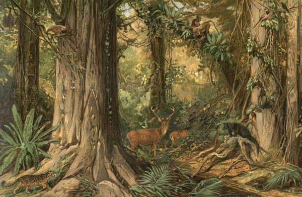 Jungle landscape in Indochina, the mainland areas of Southeast Asia, south of China and east of the Indian subcontinent, authentic reproduction of a school mural, historic, around 1900