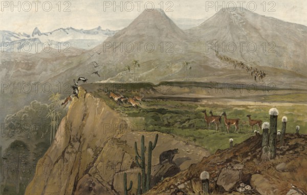 Landscape in the Cordilleras, Cordillera, American Cordillera from North to South America, authentic reproduction of a school mural, historical, around 1900
