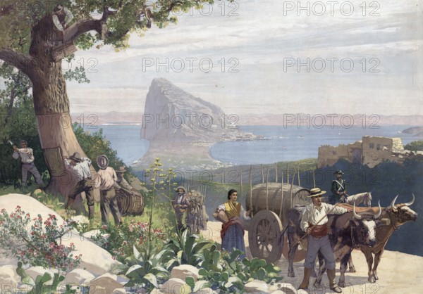 Winegrowers with a barrel on a wagon and harvesting from a cork oak against the backdrop of the Strait of Gibraltar, authentic reproduction of a school mural, historic, around 1900